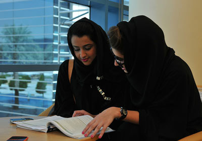 自动化报表的免费ddos平台攻击